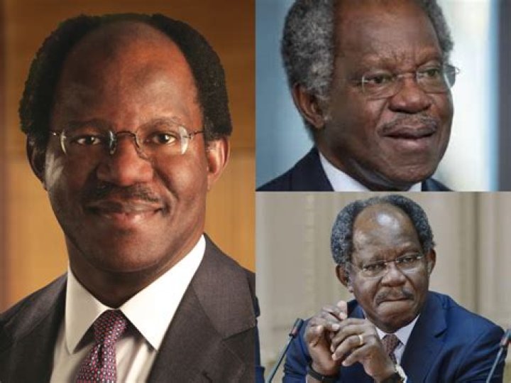 Adebayo Ogunlesi Biography; Net Worth, Education, House, Airports And Children