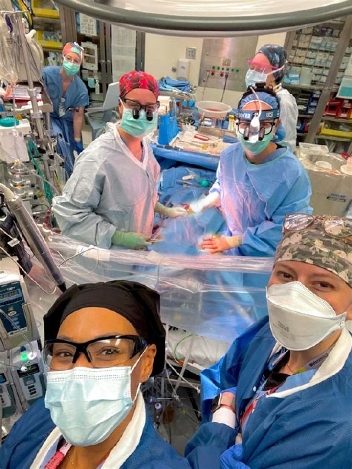 Dr. Nancy Ascher Wikipedia, Salary: 10 Facts On The Surgeon’s Cut Cast