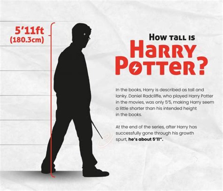 How Tall Is Harry Tate TikTok? Everything To Know