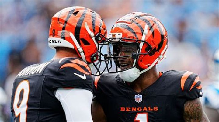 Trenton Irwin Girlfriend or Partner, Is Cincinnati Bengals Wide Receiver Married?