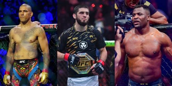 UFC: What Is The Net Worth Of Nasrat Haqparast? Family & Ethnicity Instagram Details Of The MMA Fighter