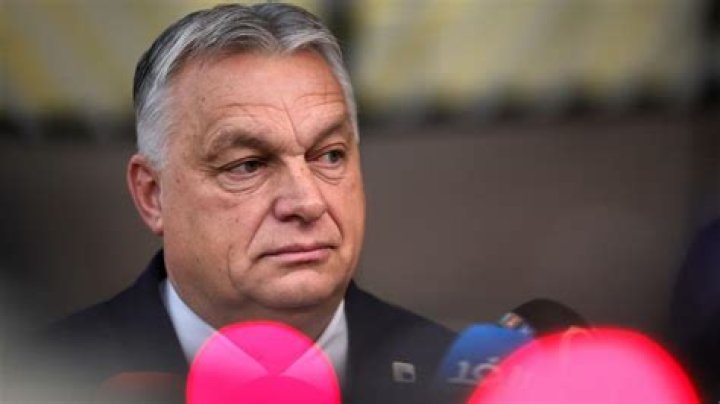 Viktor Yanukovych Girlfriend: Who Is Viktor Yanukovych’s Partner Lyubov Polezhay?