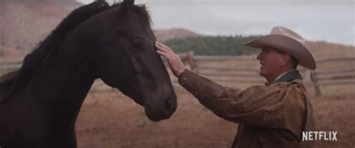 Who Is Horse Trainer Robin Wiltshire? Everything About The ‘My Heroes Were Cowboys’ Cast